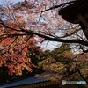 大雄山