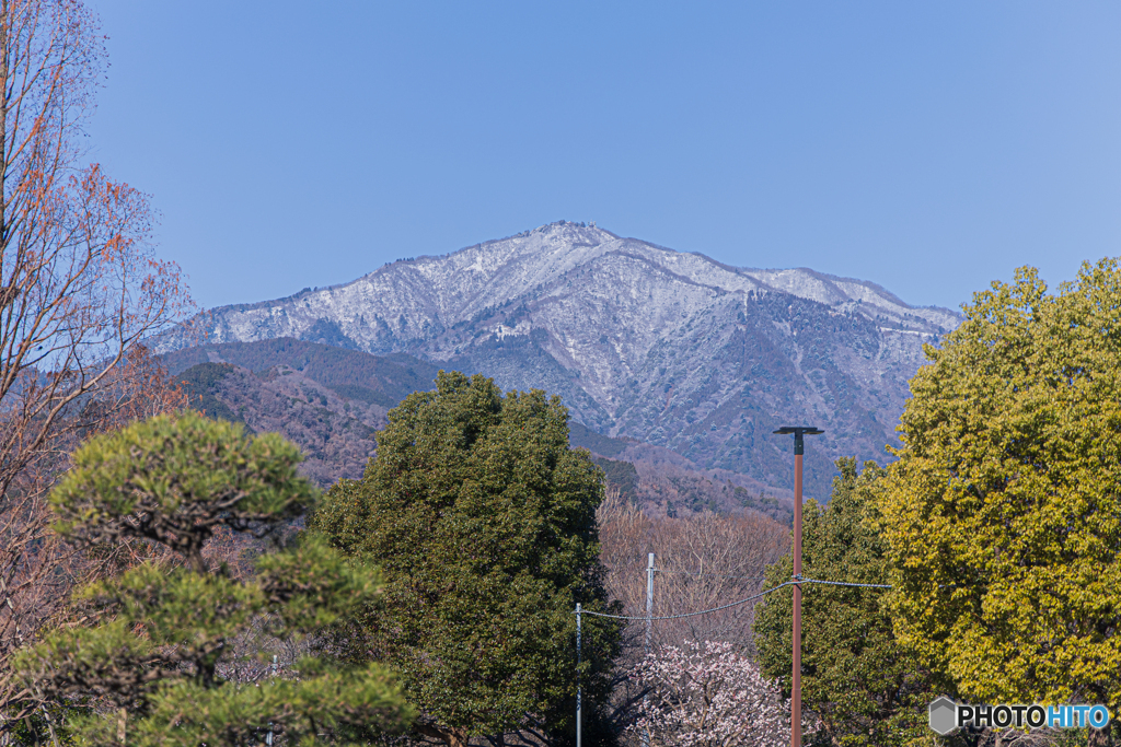 雪をまとった大山