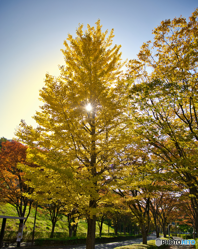 上を向いて歩こう