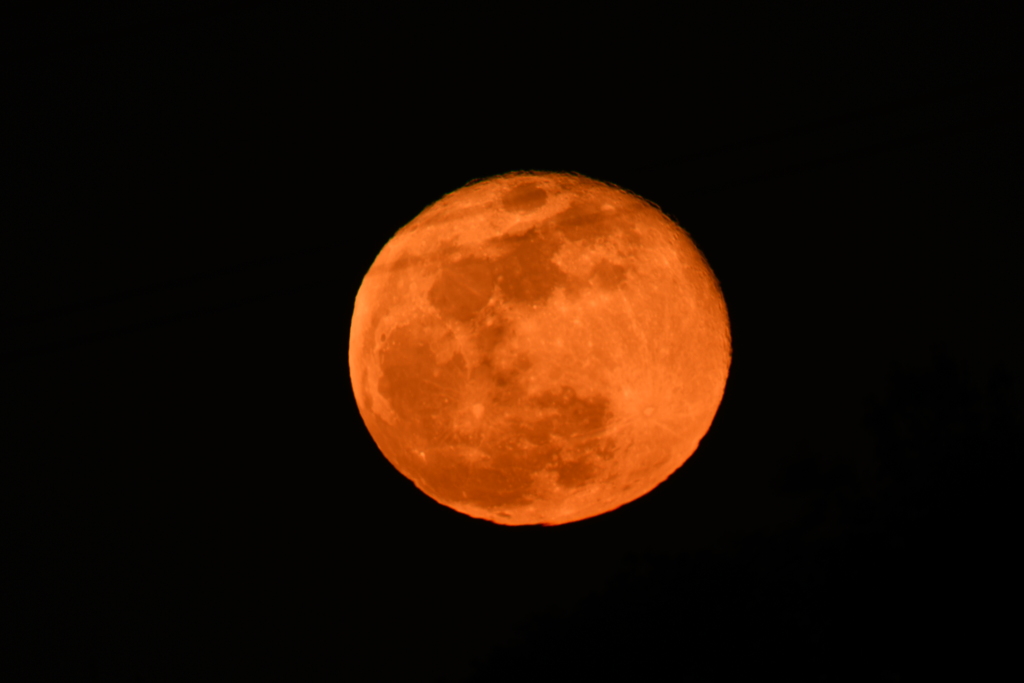 DSC_0044