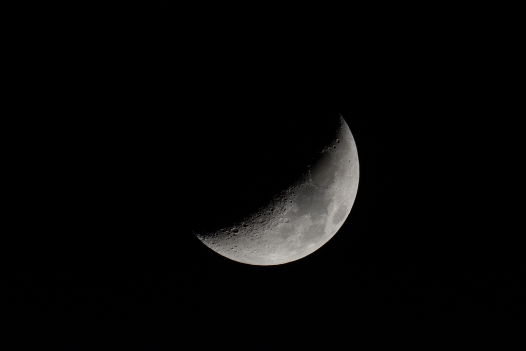 DSC_4293