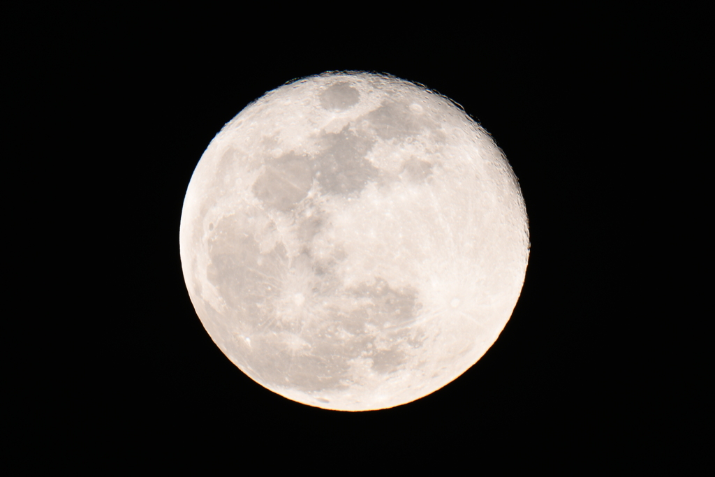 DSC_0055