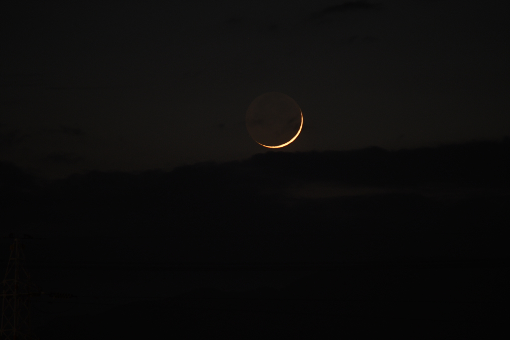 DSC_0537