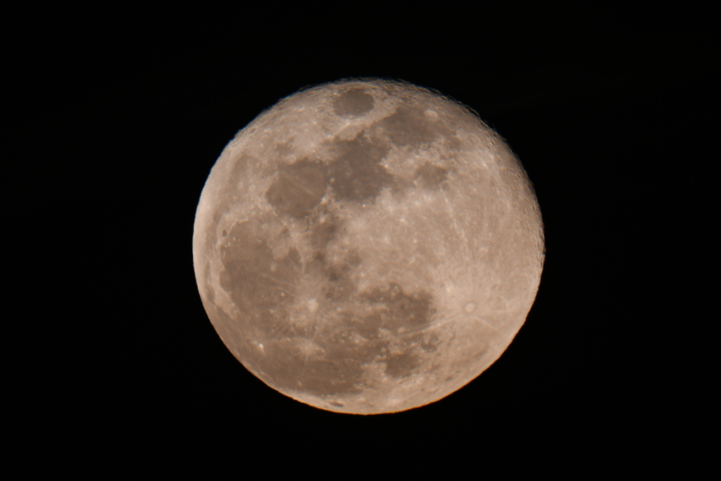 DSC_0051