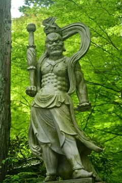 篠栗町 呑山観音寺 天王院のあおモミジ 4