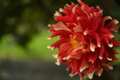 4AD8B5DB-63D5-4618-BE35-4CA61FA5EF61