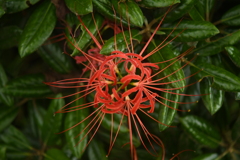 D4807CC8-B2E2-453D-9C90-61198D76891C