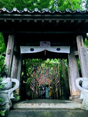 かえる寺の風鈴まつり