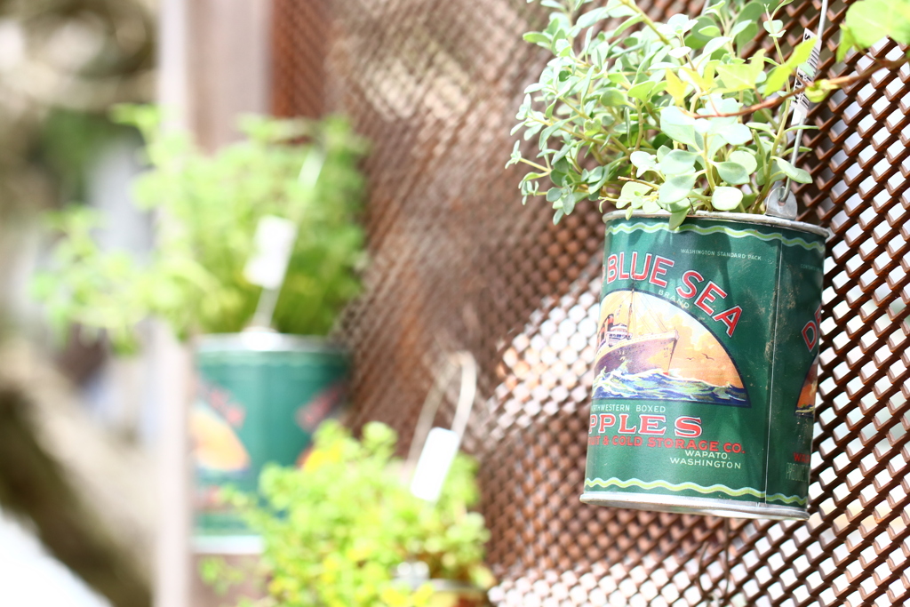 GREEN GARDEN 7