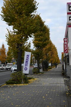 R16