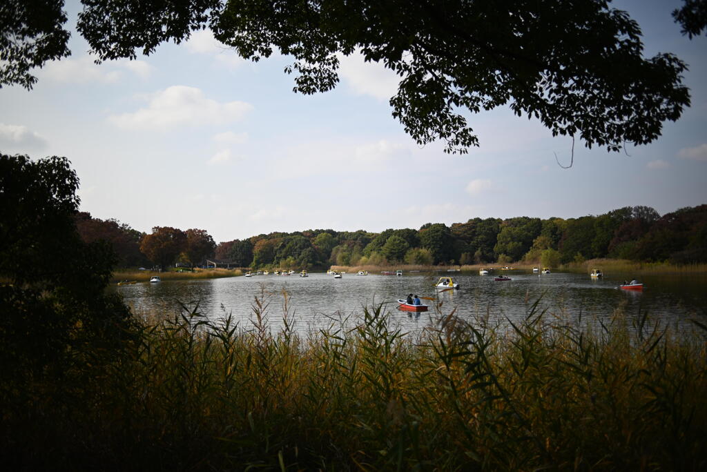 昭和記念公園