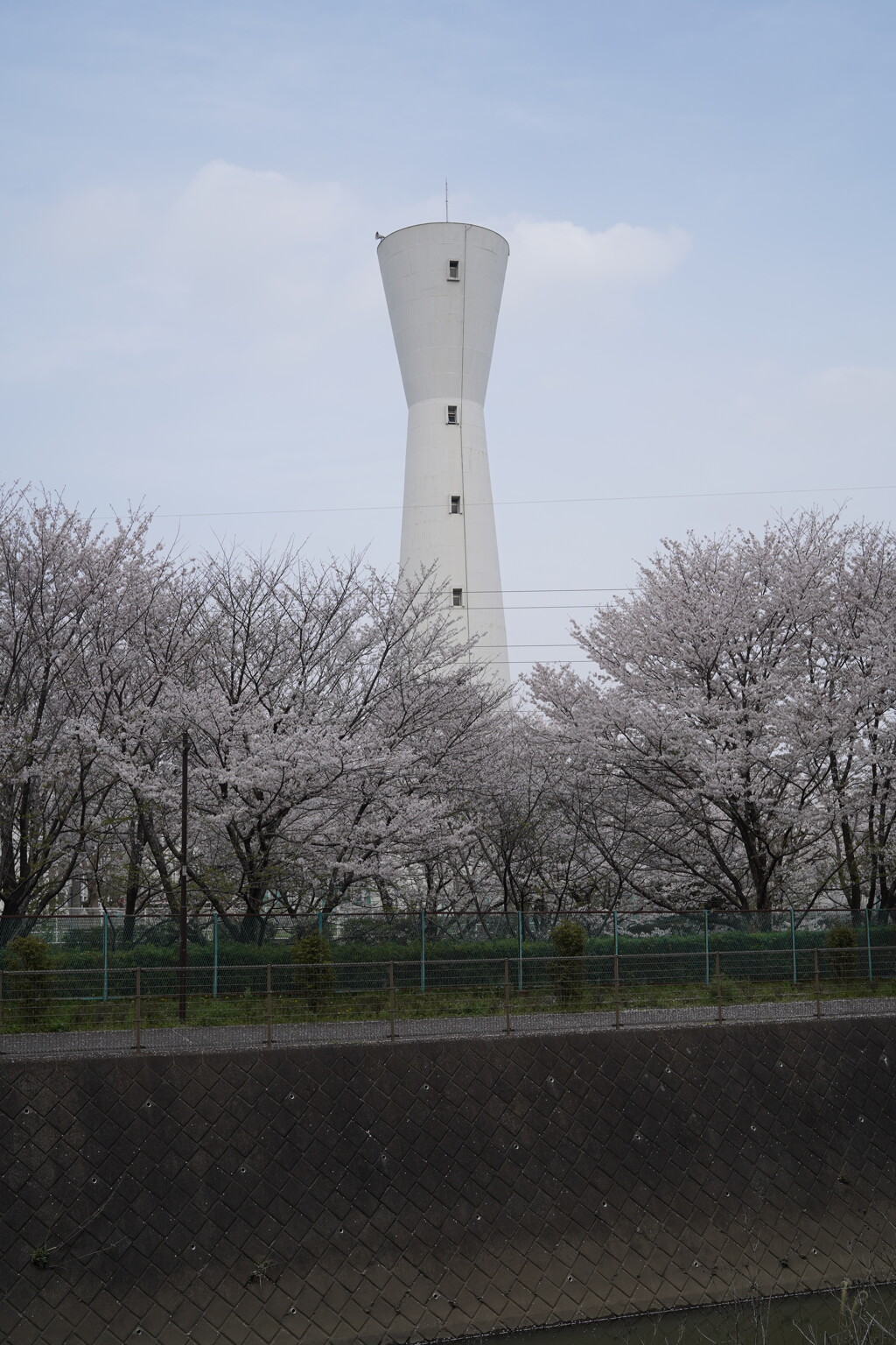桜・給水塔