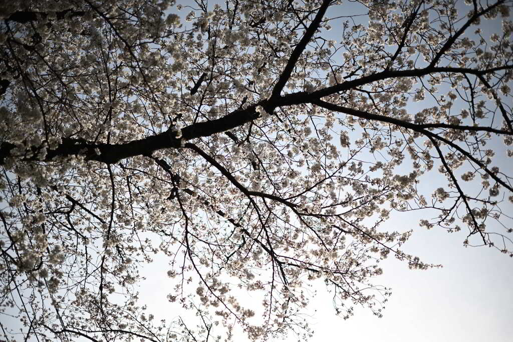 乞田川