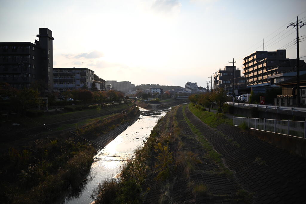 大栗川