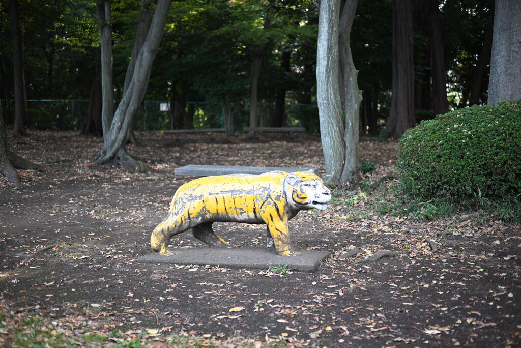公園の老虎
