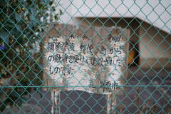 看板