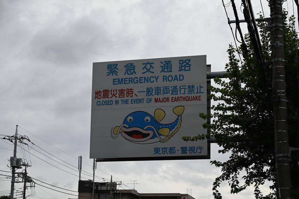 なまず
