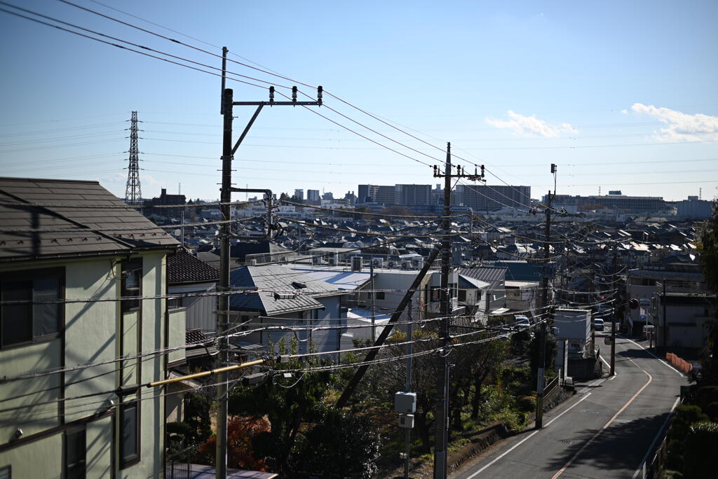 尾根緑道へ続く道の途中で…