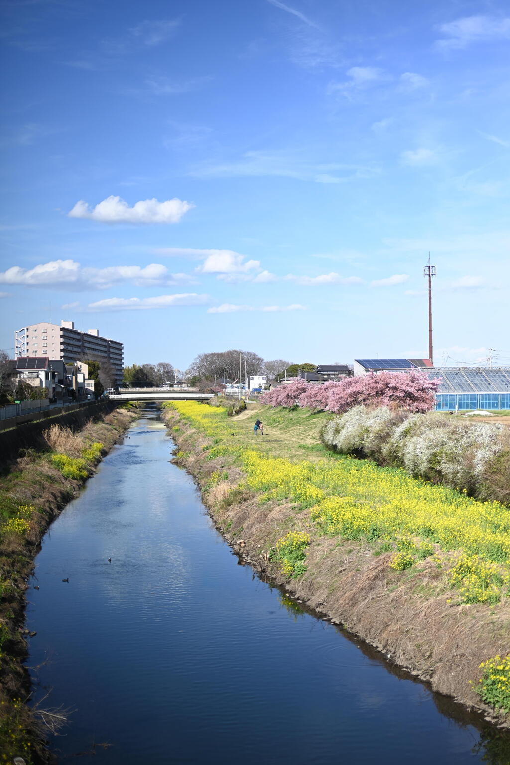 目久尻川