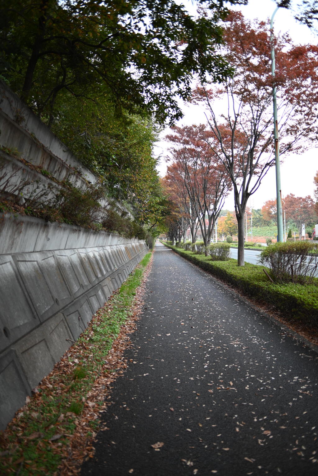 南多摩尾根幹線道路・歩道