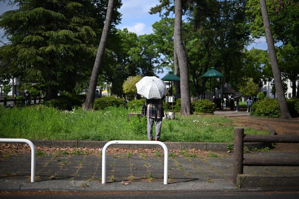 公園
