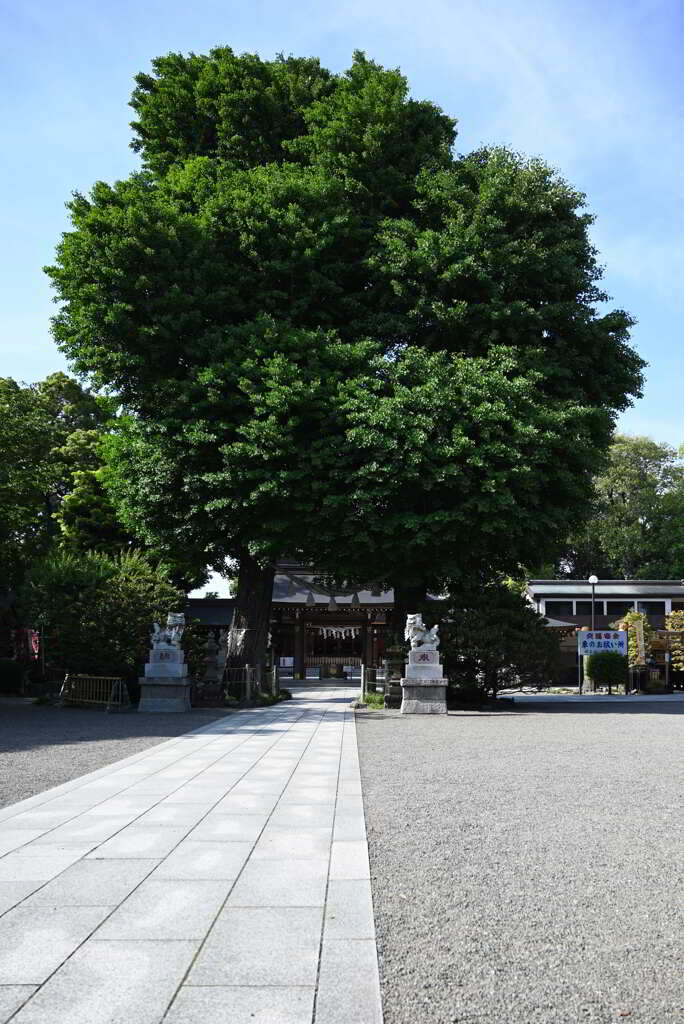 亀ヶ池八幡宮