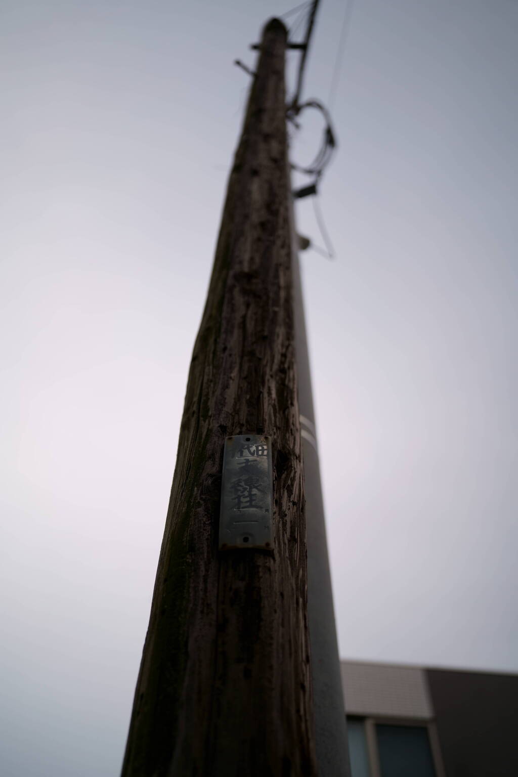木製電柱