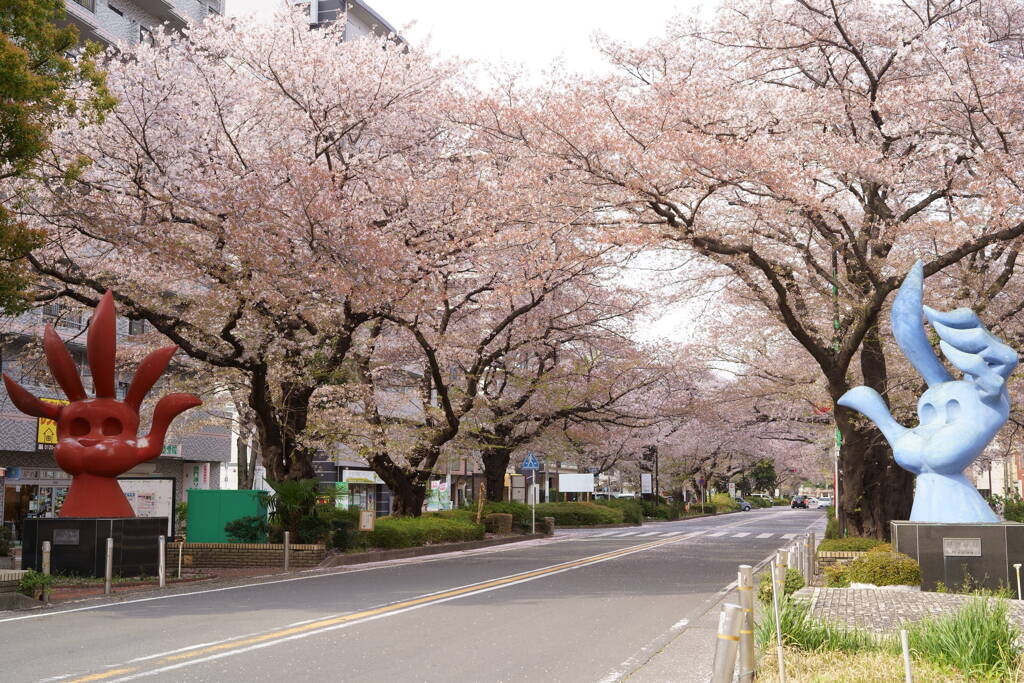 呼ぶ 赤い手・青い手