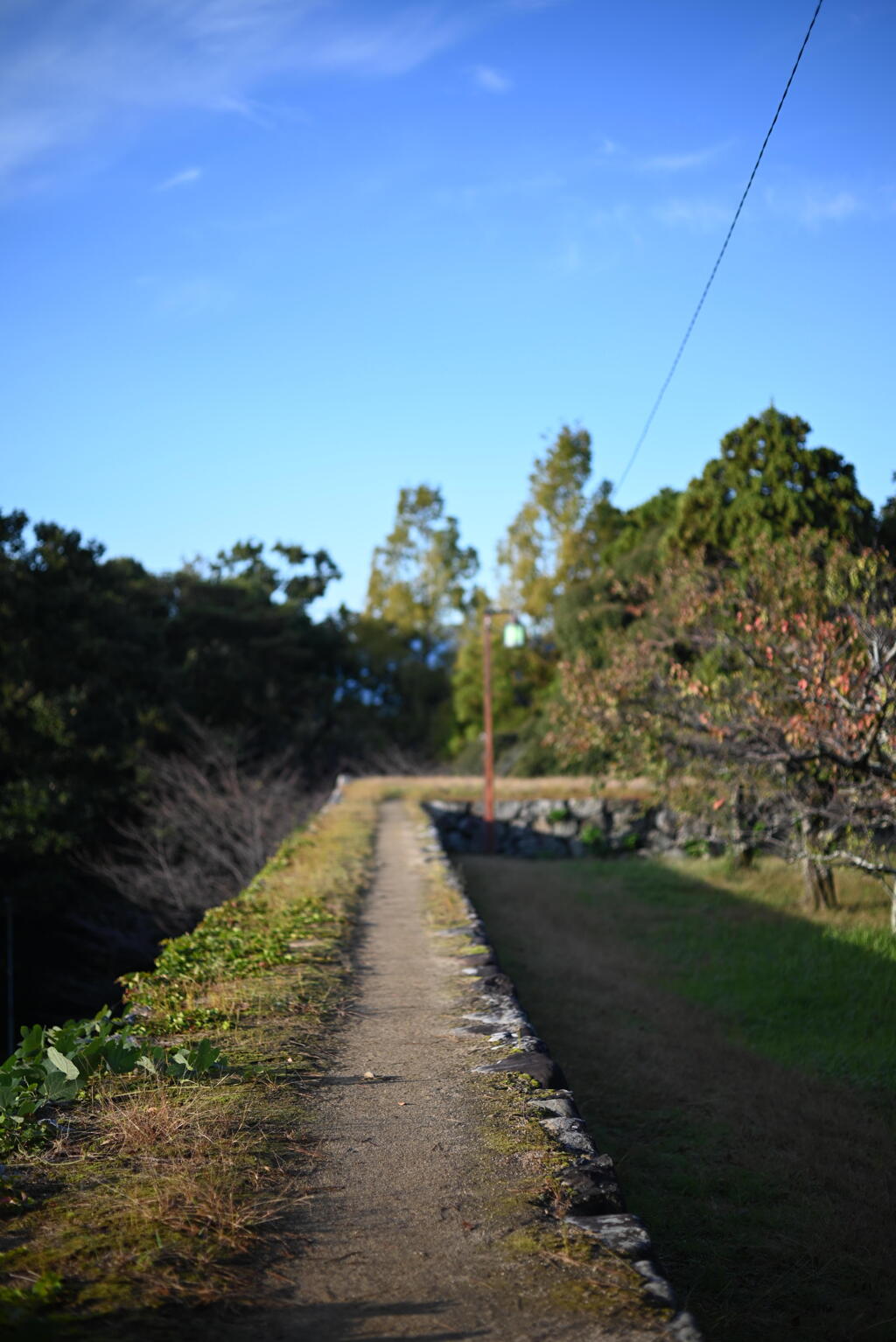 松阪城跡・石垣