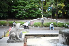 上野公園のカエル