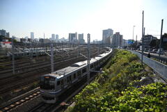横須賀線
