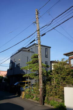 木製電柱