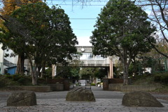 校門