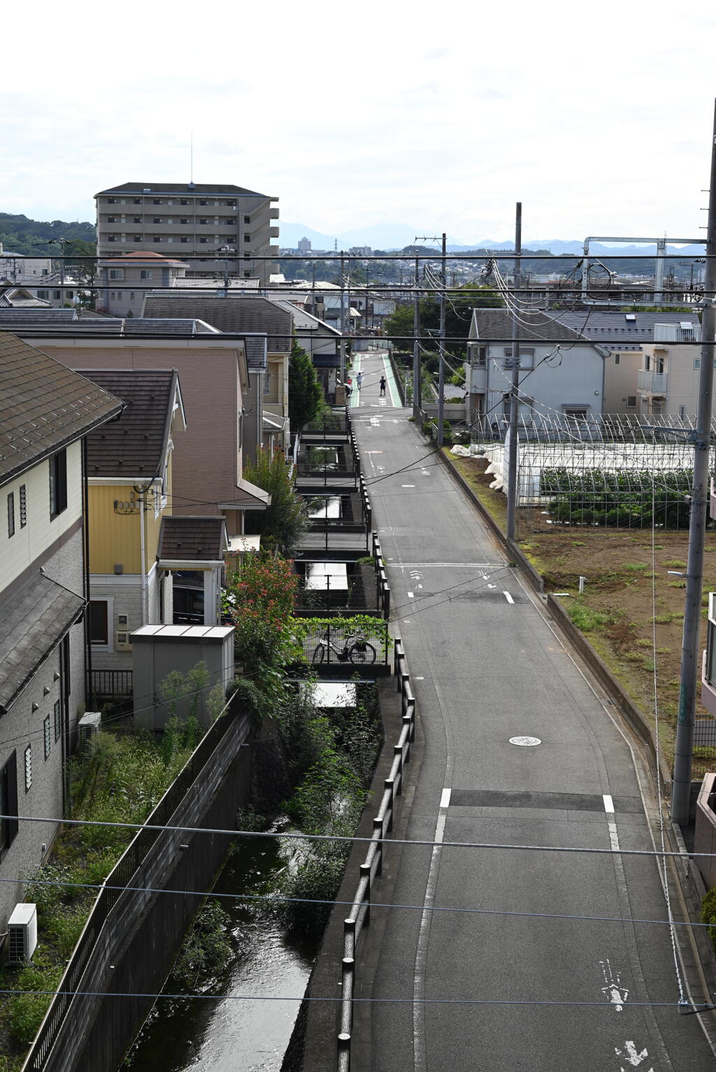 道