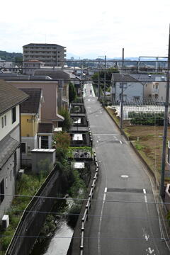道