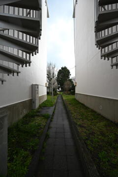 団地の細道