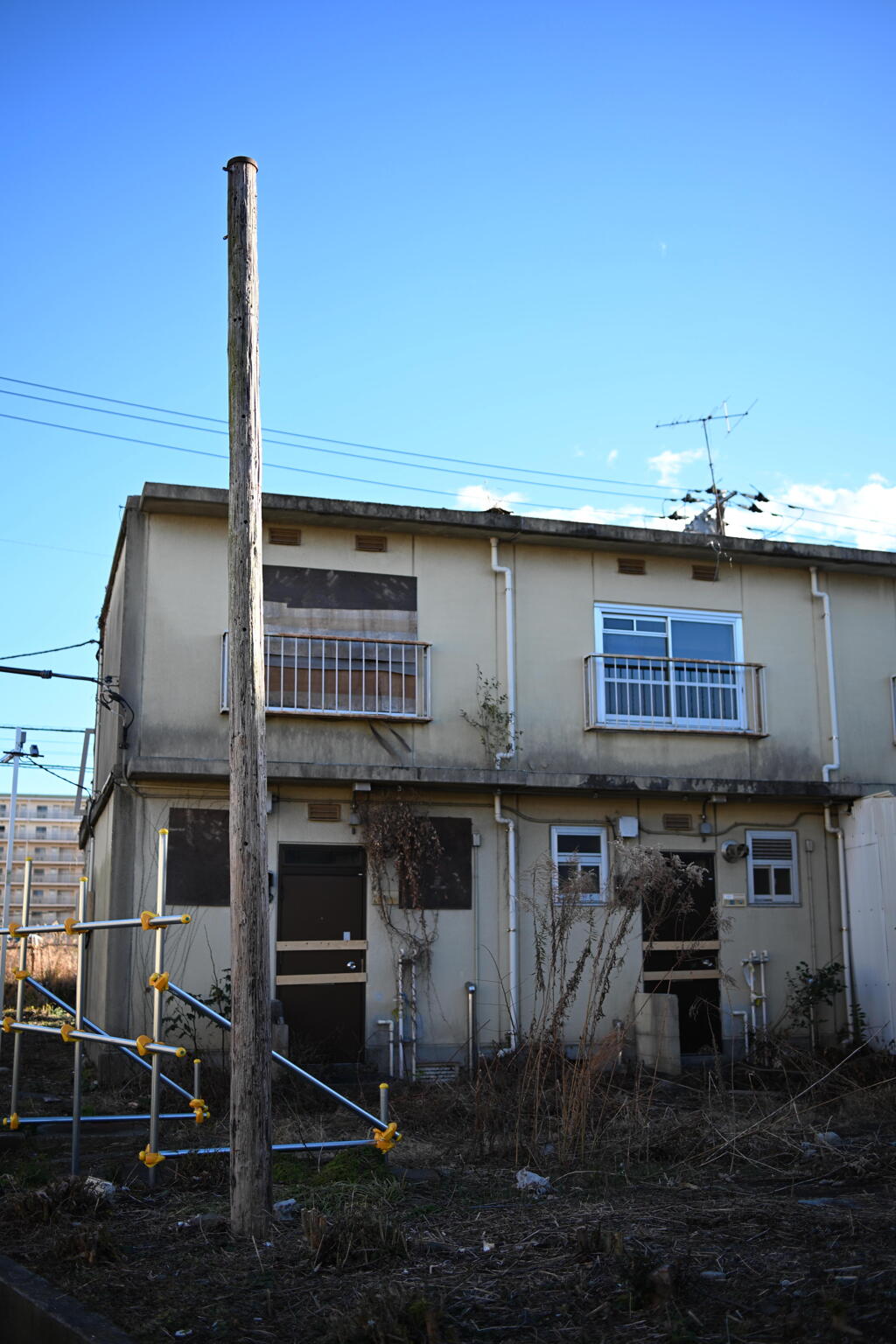 県営住宅