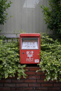 緑に埋まるポスト