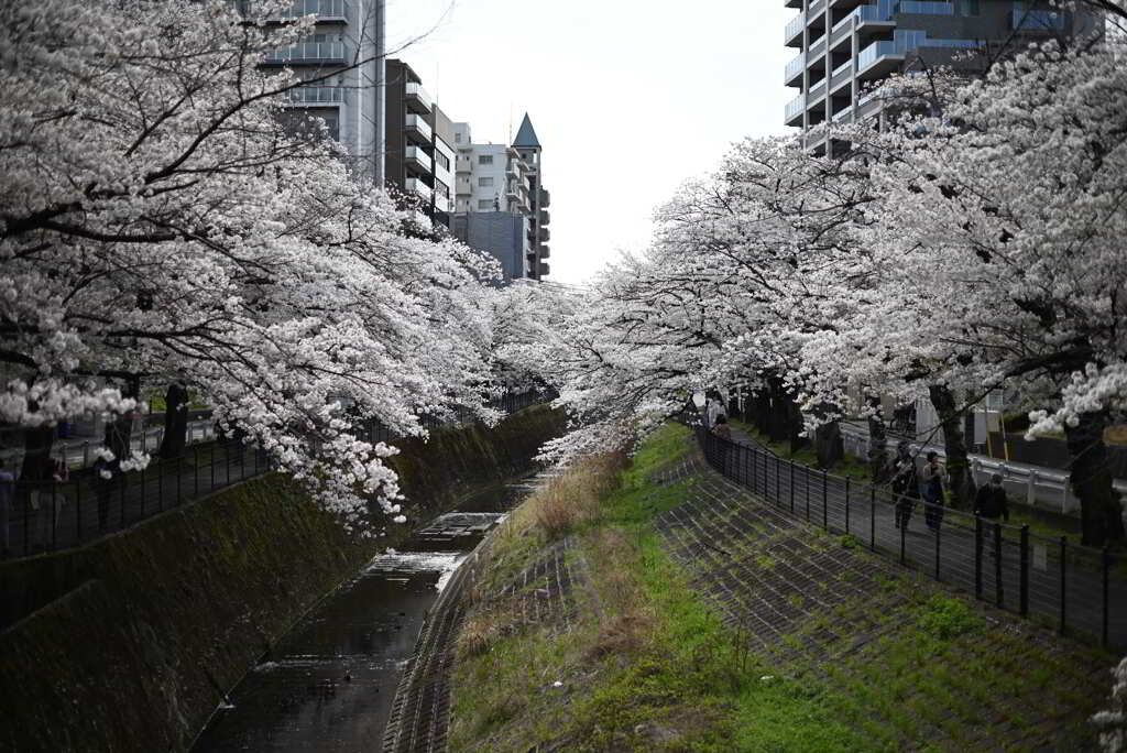 乞田川