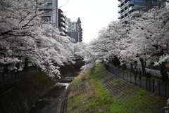 乞田川