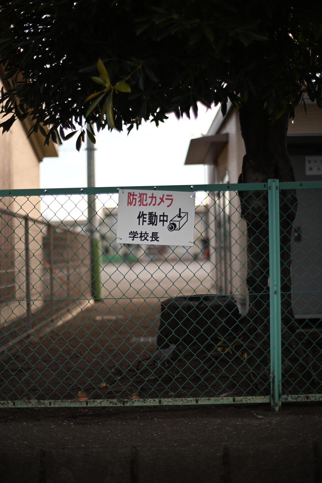 学校