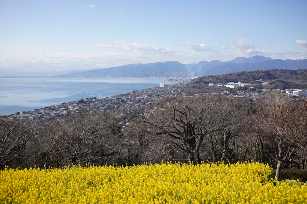 吾妻山公園