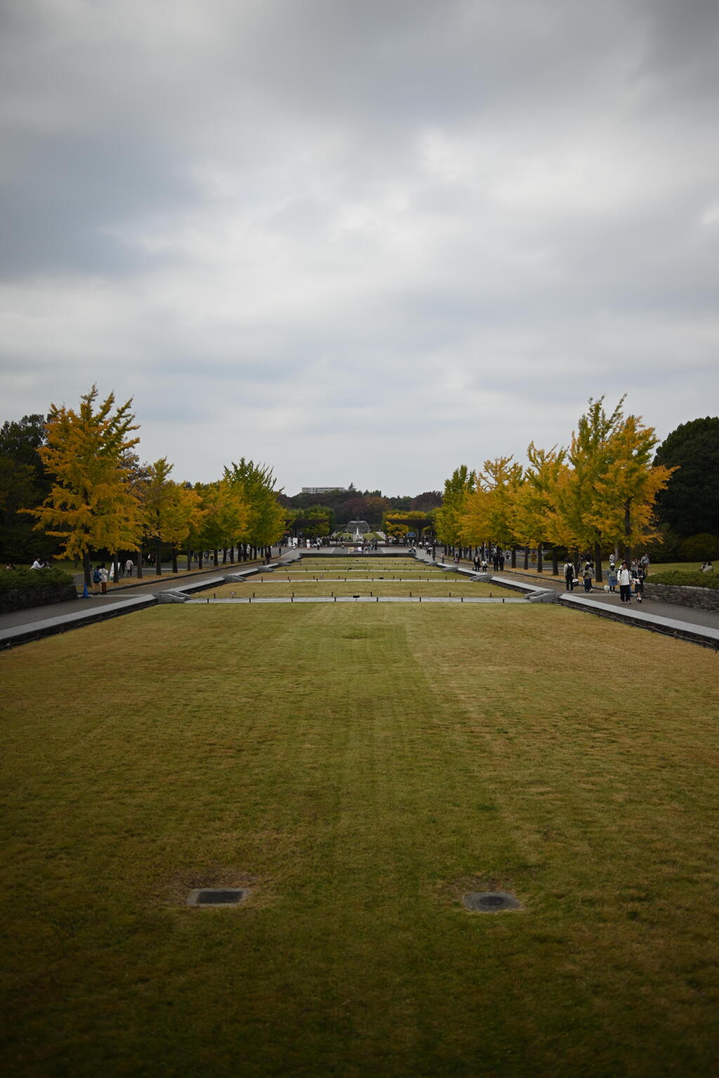 昭和記念公園