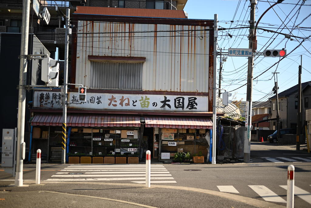 たねと苗の店