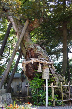 川尻八幡宮