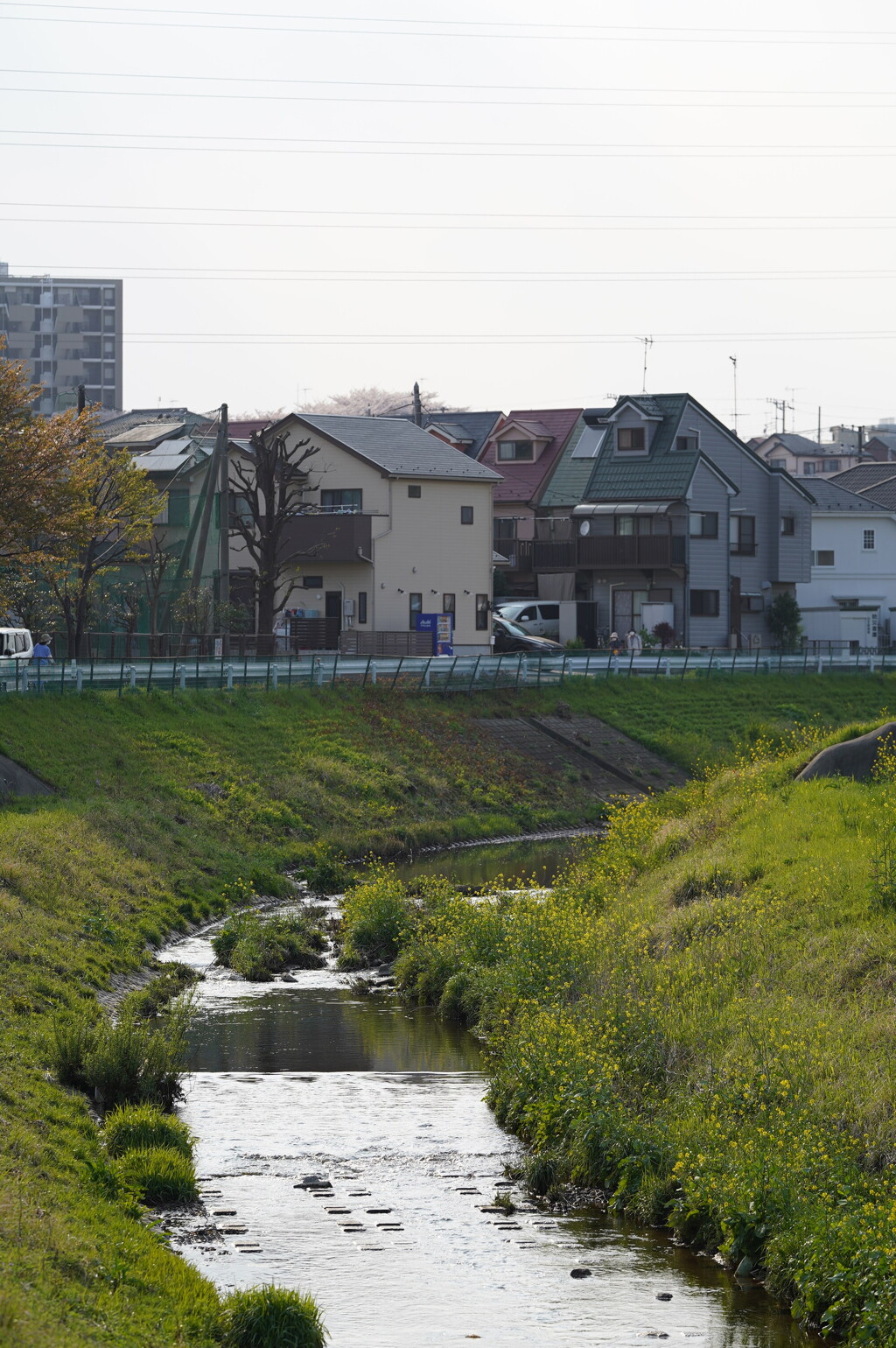 境川