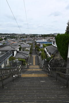 道