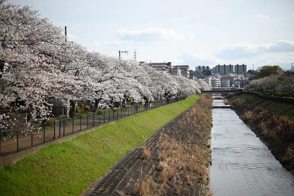 乞田川