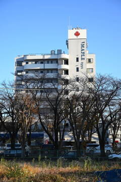 MAPLE1990