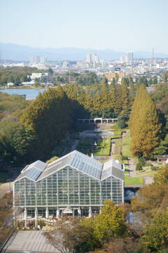 相模原公園